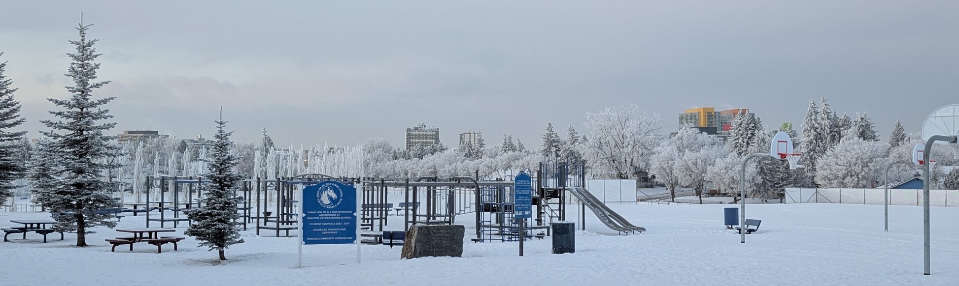 SPB Weekly Banner Jan 12 2026