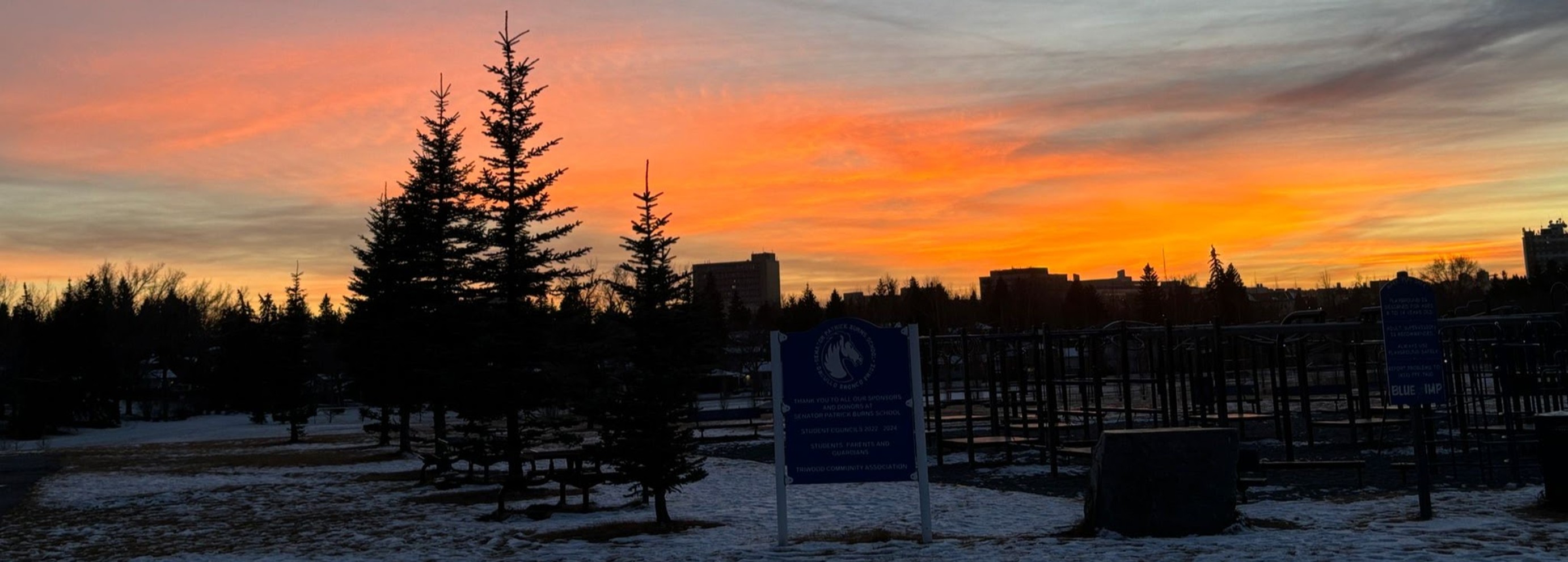 SPB Weekly Jan 26 2026