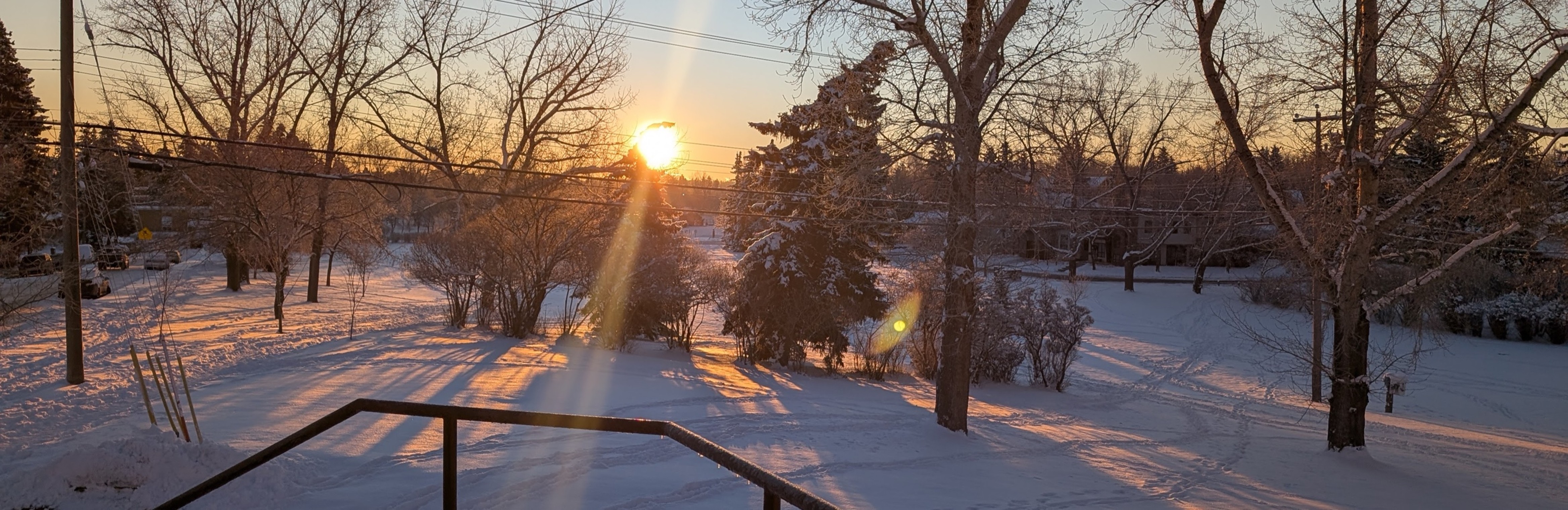 SPB Weekly, Jan 19 2026