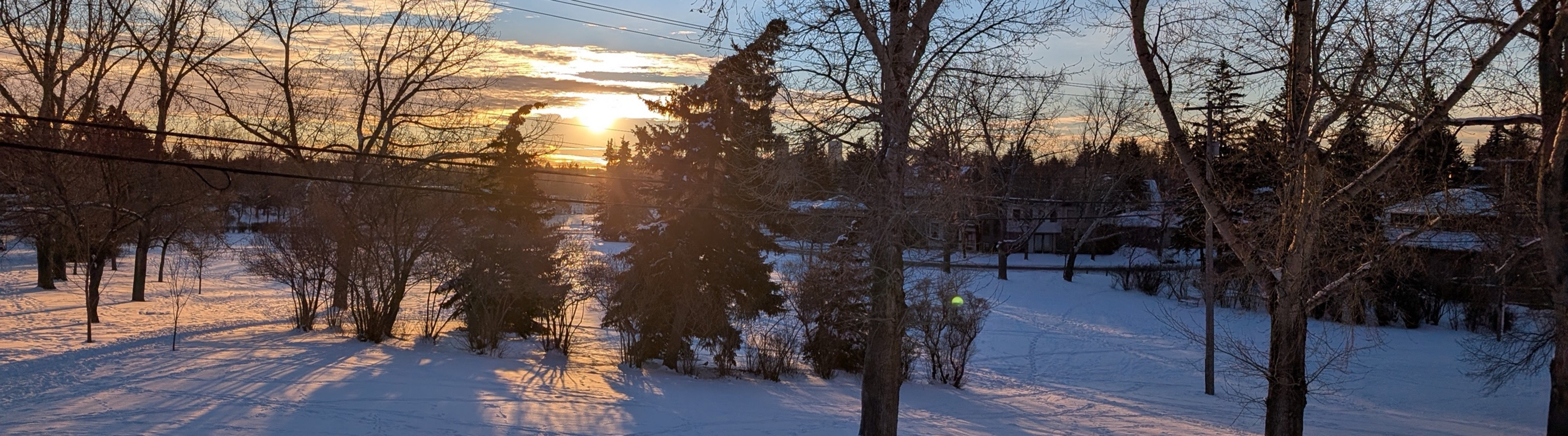 SPB Weekly Feb 2 20226